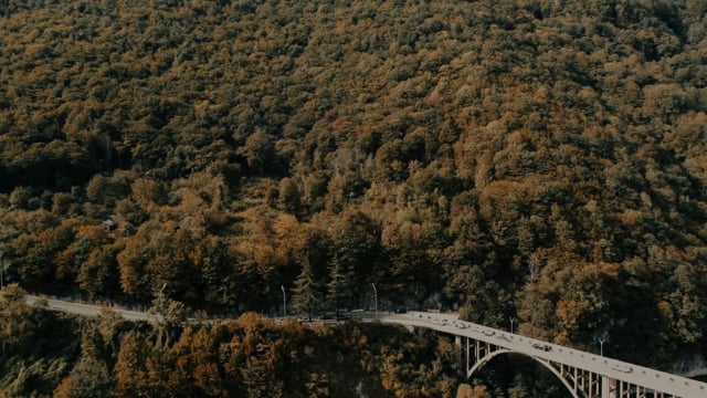 Кадр 37 из 39