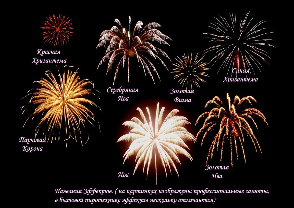 Портфолио: Свадьба