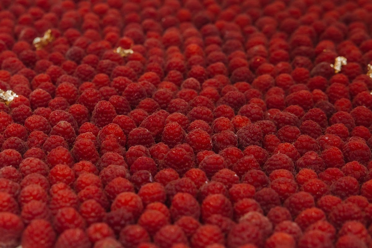 Кадр 77 из 82