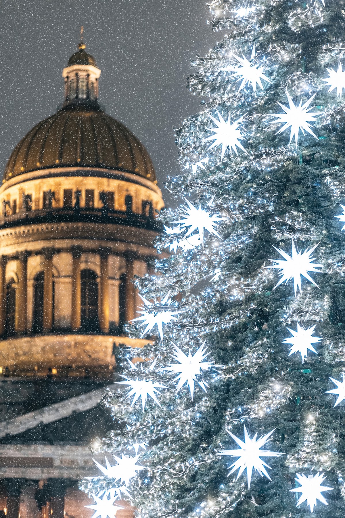 Портфолио: Новогодняя фотосъемка