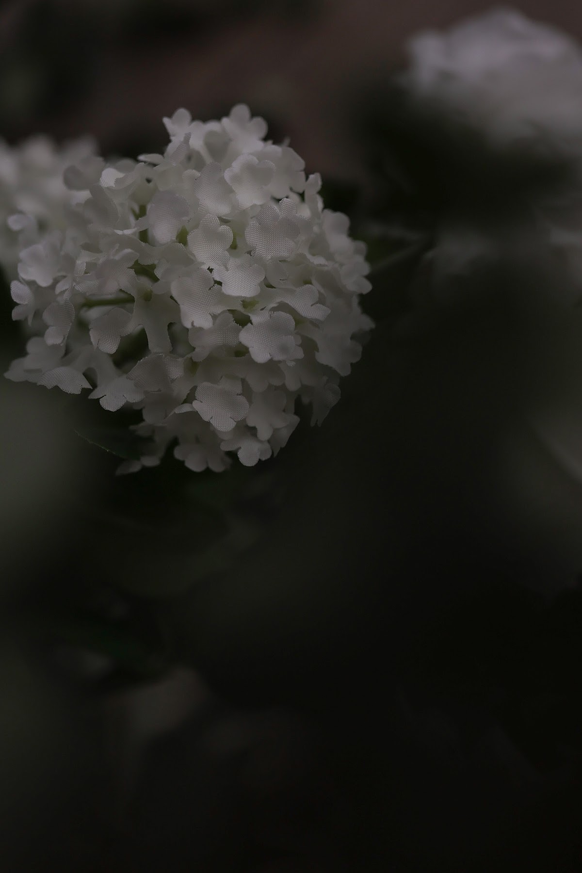 Кадр 39 из 41