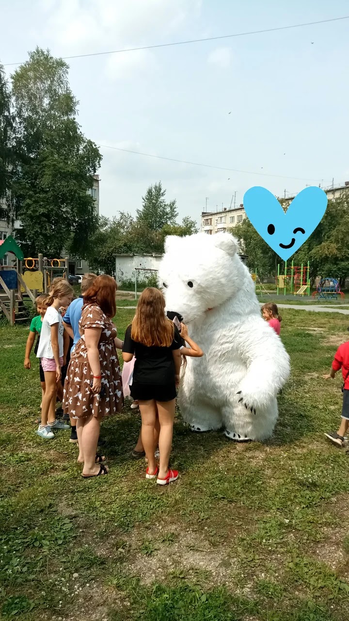 Портфолио