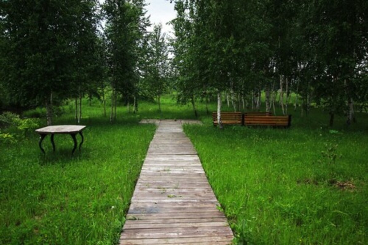 Фотогалерея ресторана