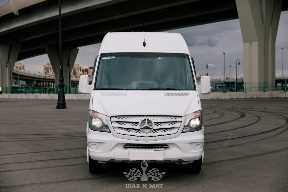Mercedes Sprinter  VIP (салон-кожа) — кадр 2 из 9