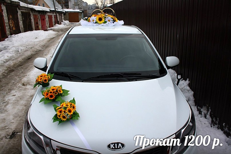Кадр 139 из 196