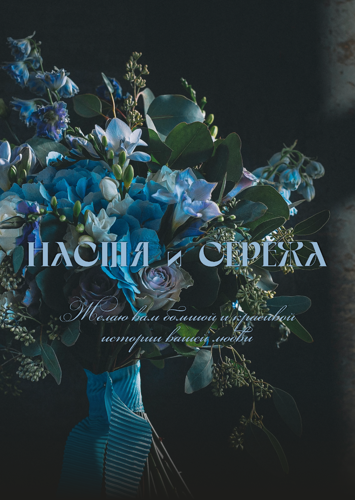 Портфолио