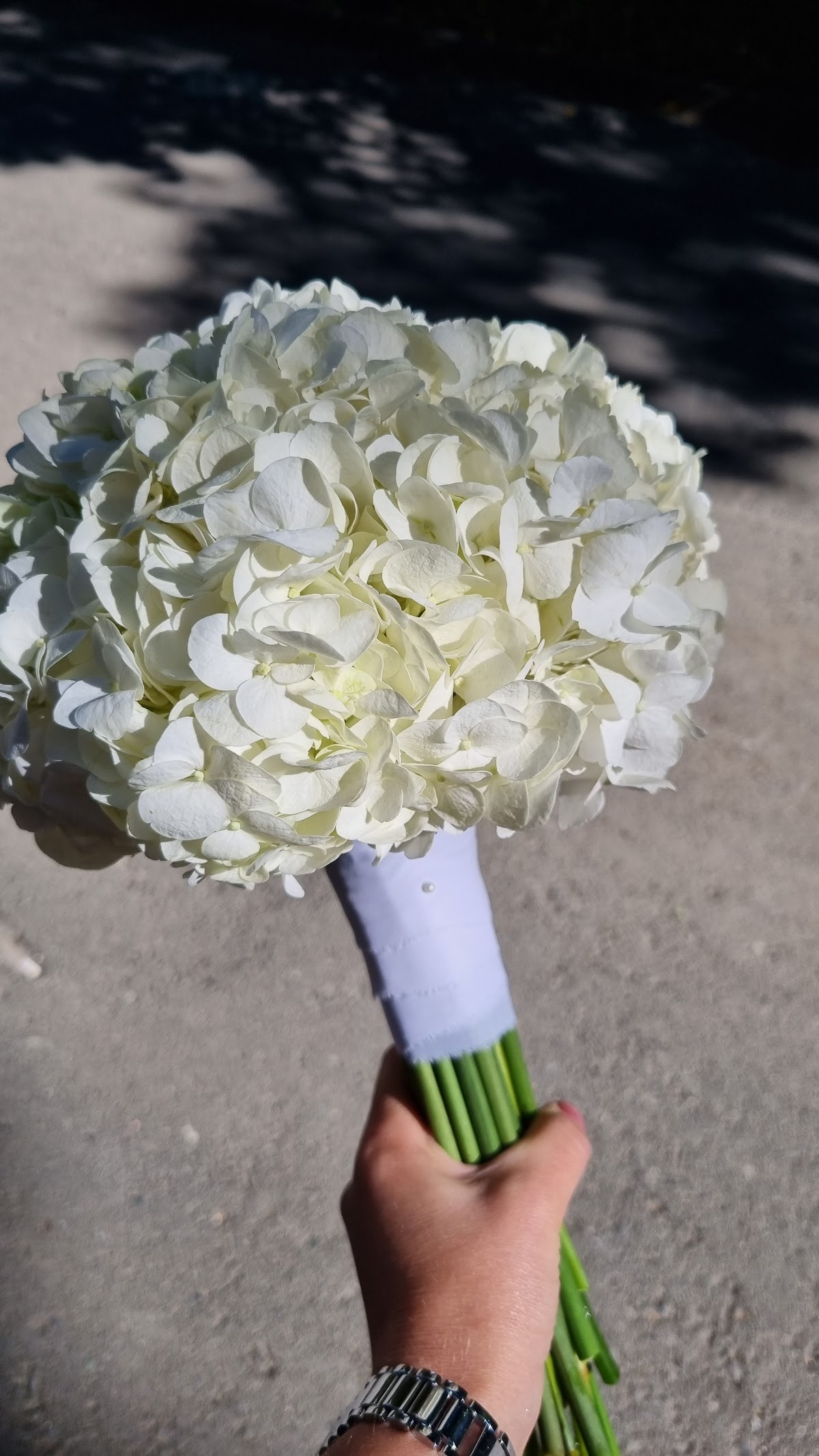 Кадр 38 из 94