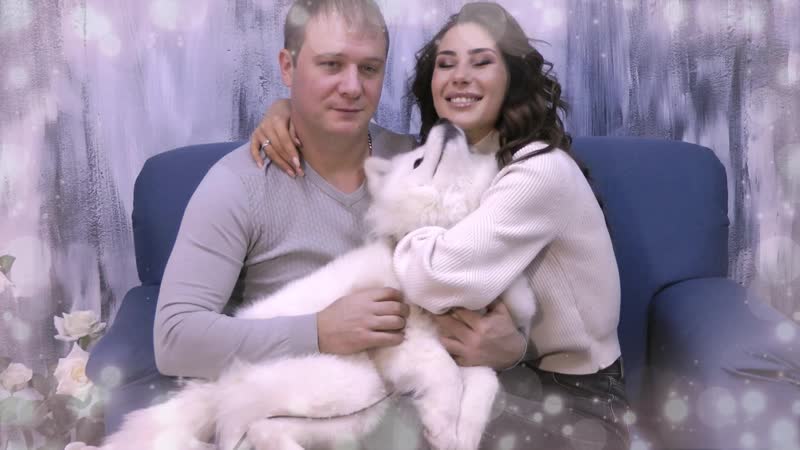 Портфолио: Животные