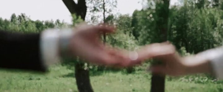 Портфолио: Свадьба