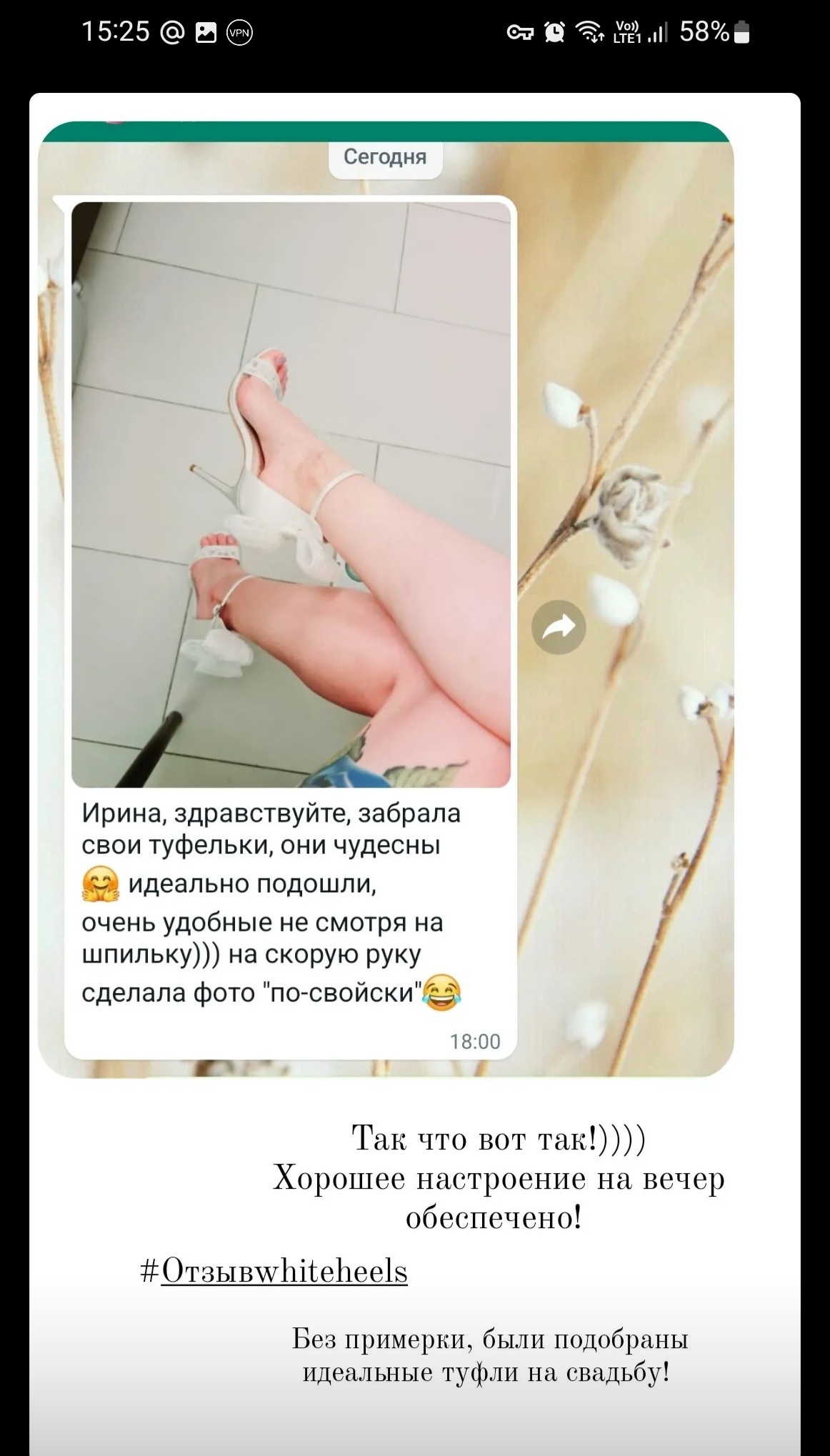 Портфолио