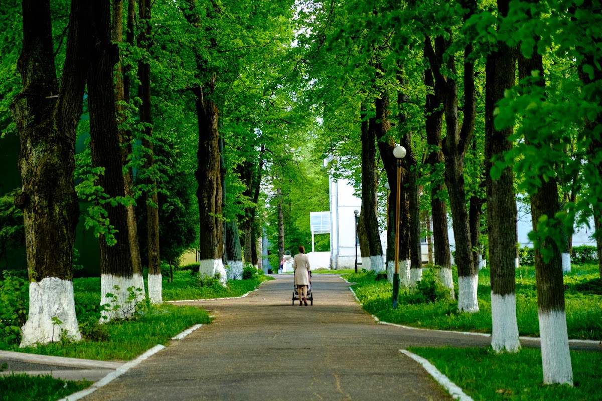Территория парка