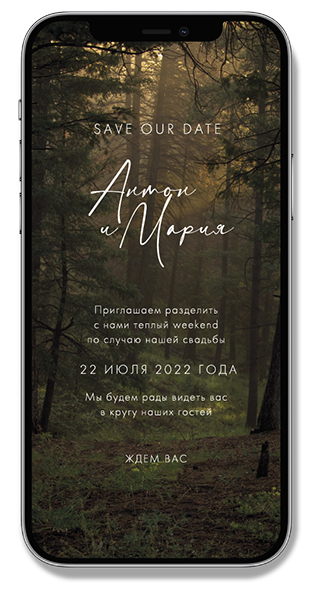 Портфолио