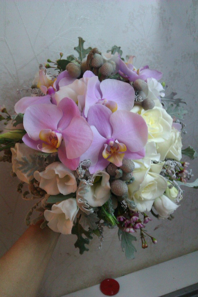 Фотографии