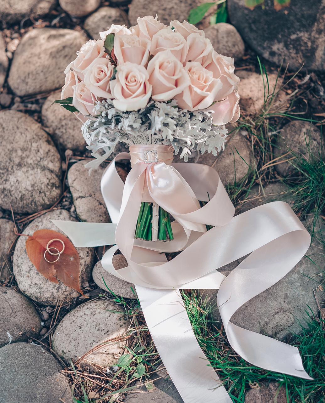 Владимир и Евгения