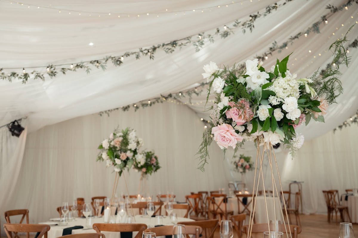 Followmewedding