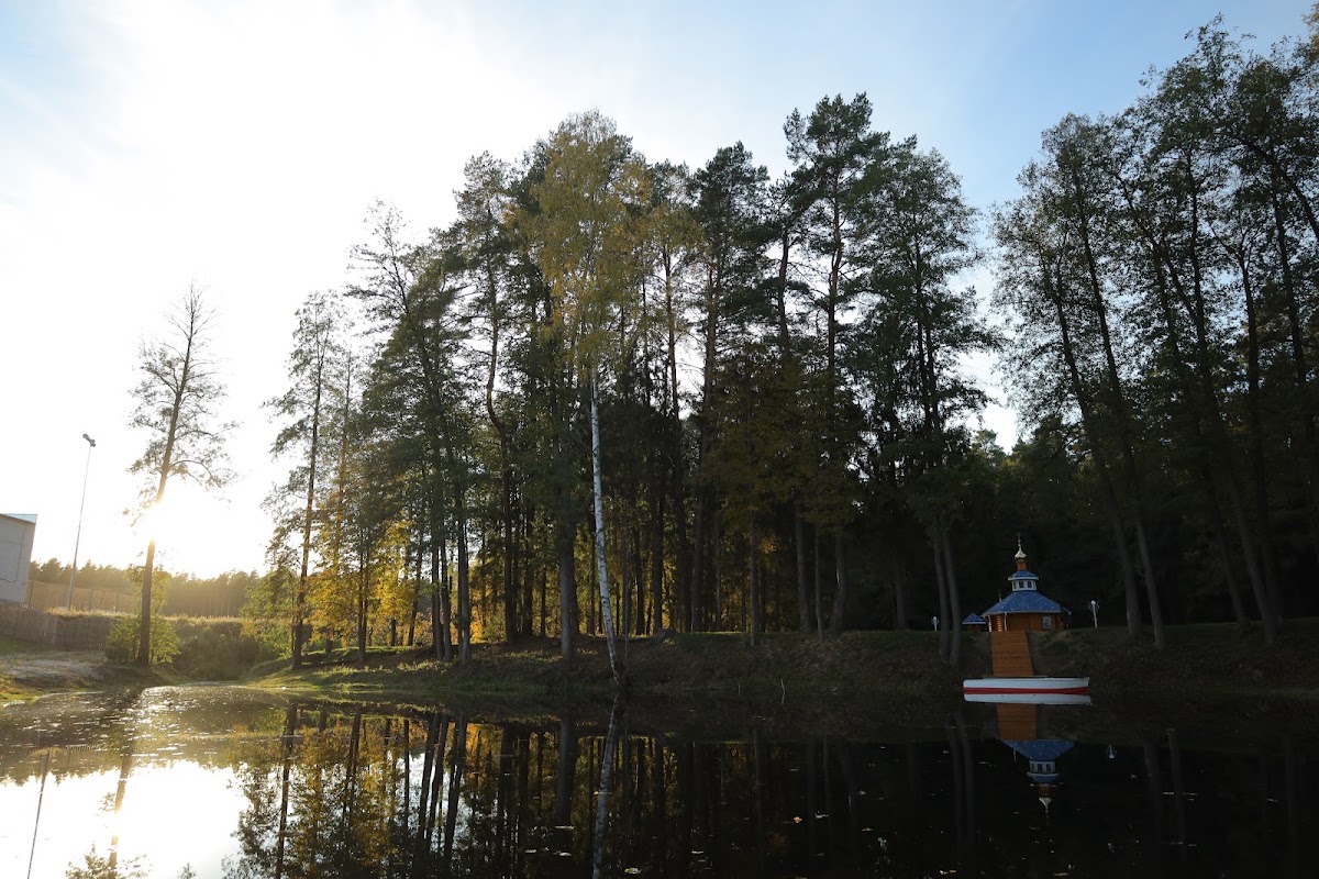 Фотогалерея ресторана