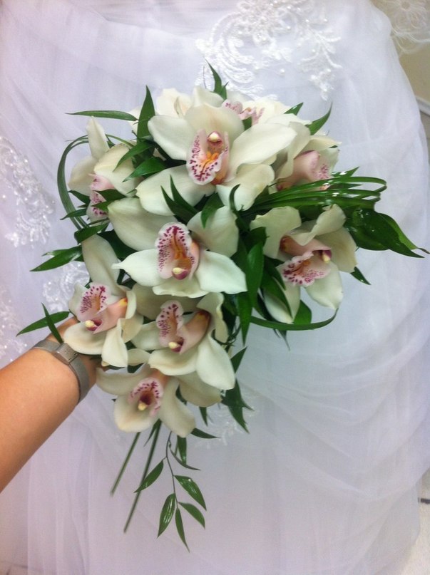 White flower — кадр 3 из 20