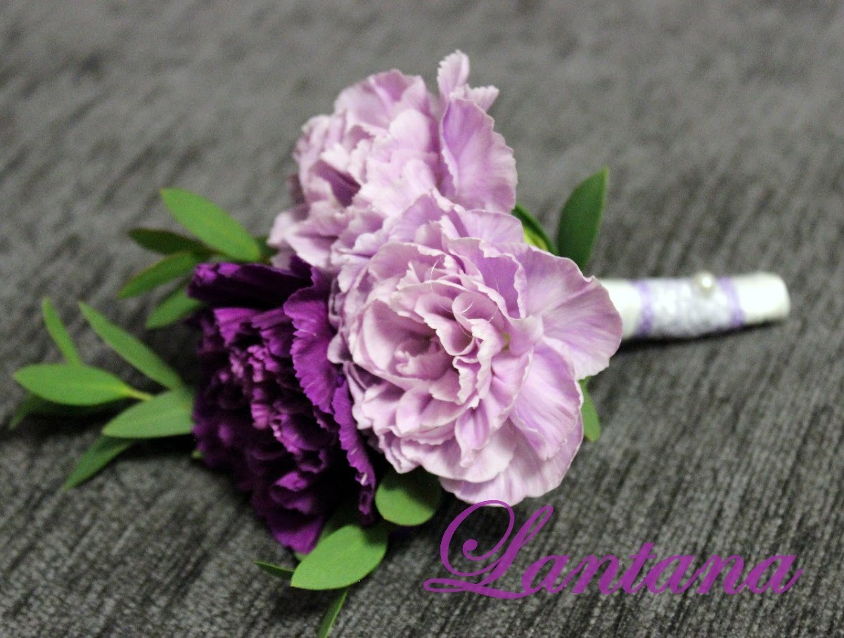 Lantana