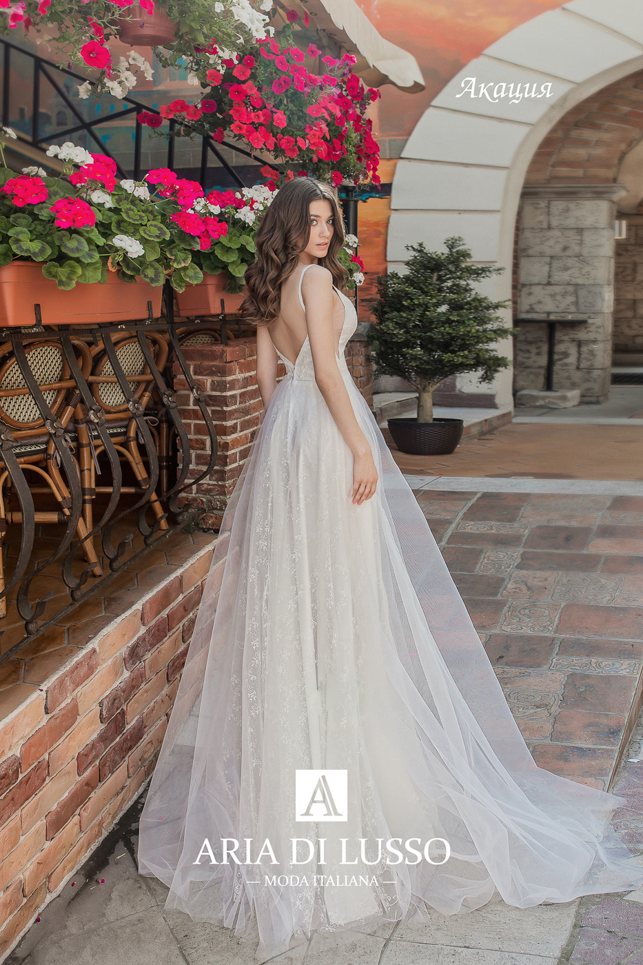 Акация — кадр 2 из 3