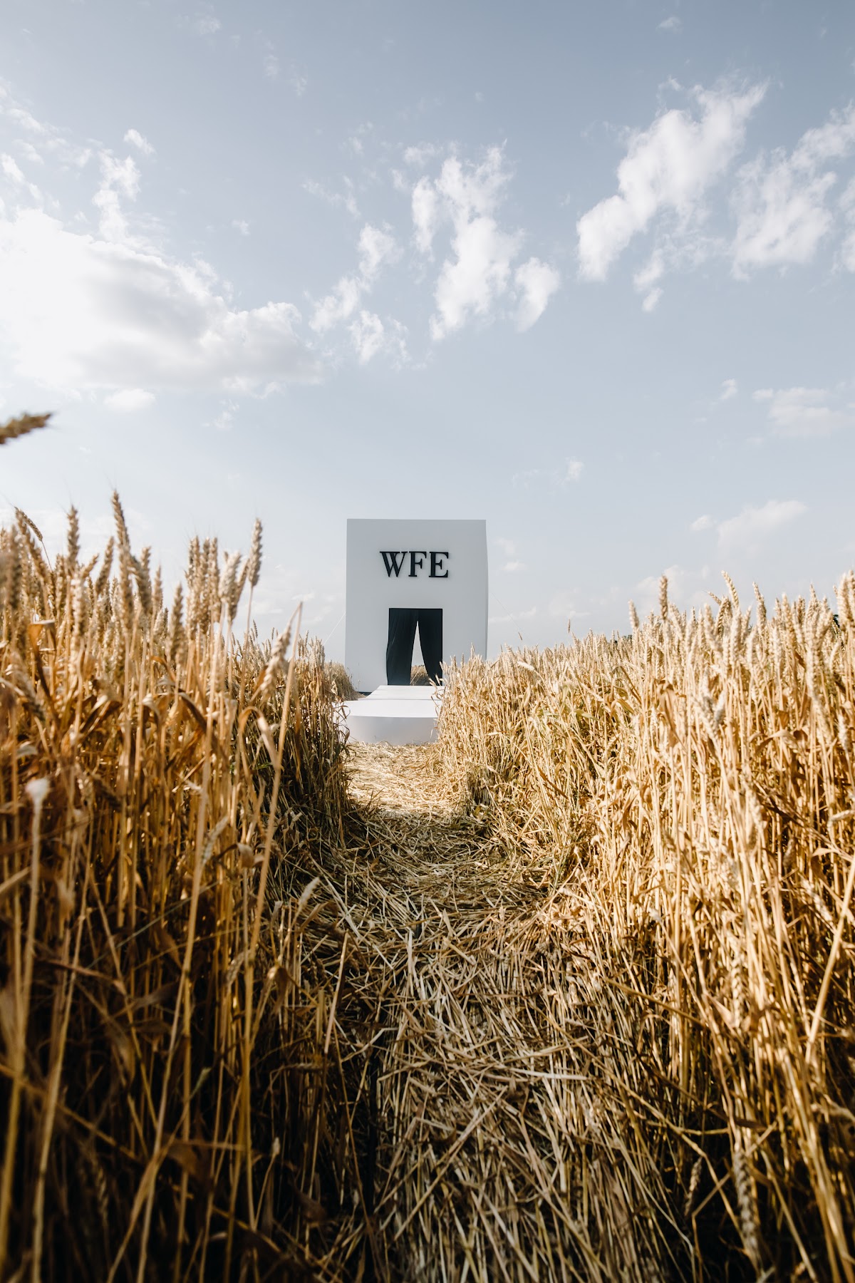 WFE