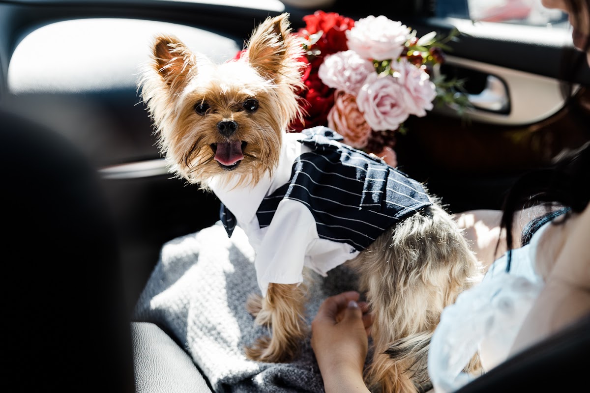 Вероника и Евгений