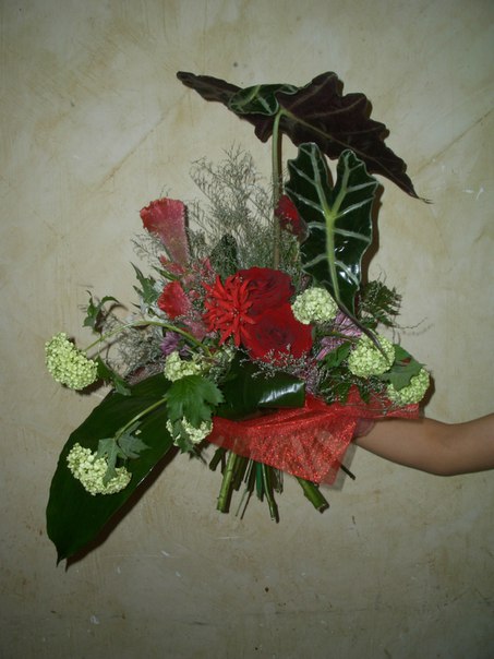 Rose Every day — кадр 5 из 20