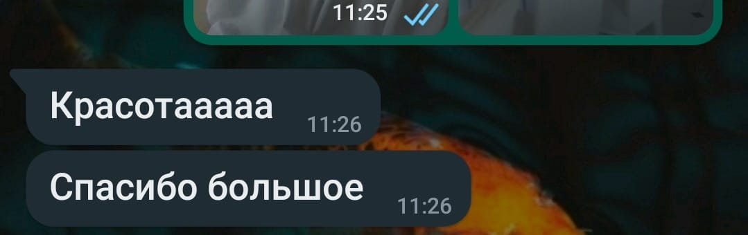 Кадр 31 из 31