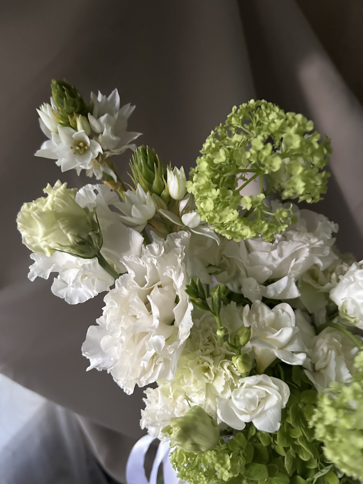 Tropicana Flowers