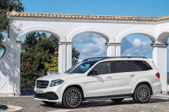 MERCEDES-BENZ GLS — кадр 2 из 3