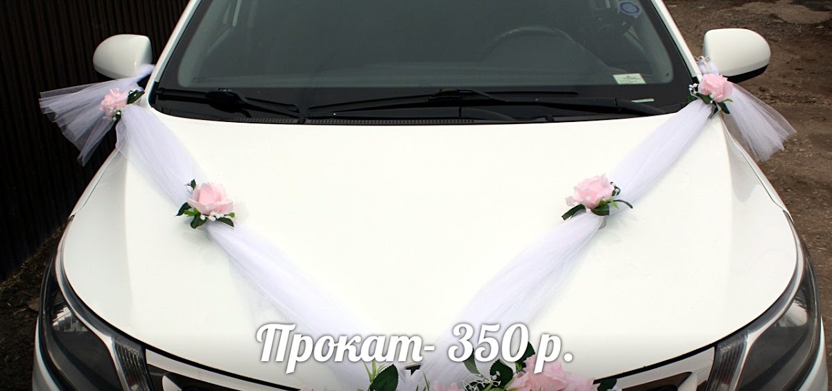 Портфолио