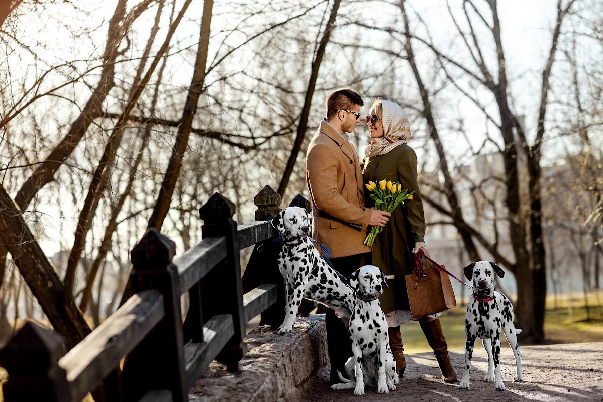 Портфолио: Love story