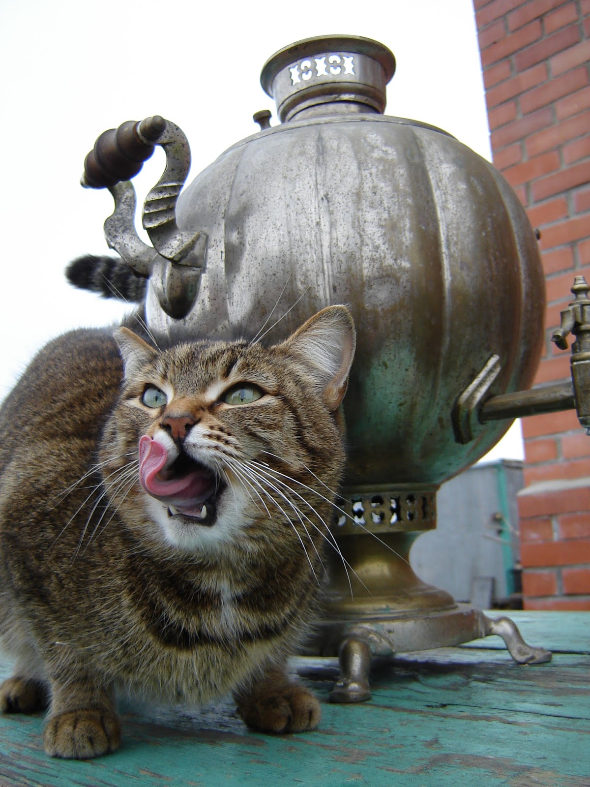 «Котэ»