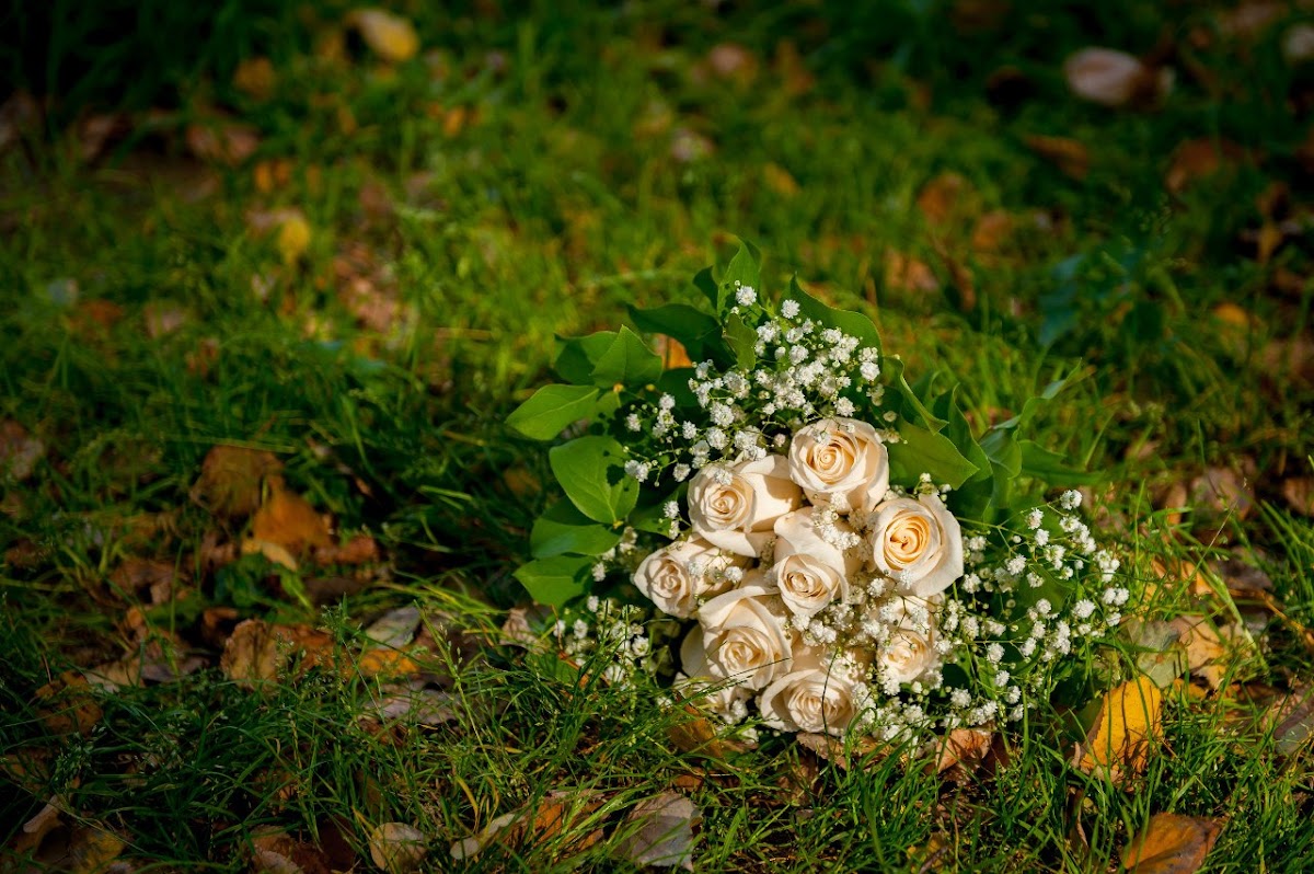 Свадьба Анечки и Андрея 26.09.14