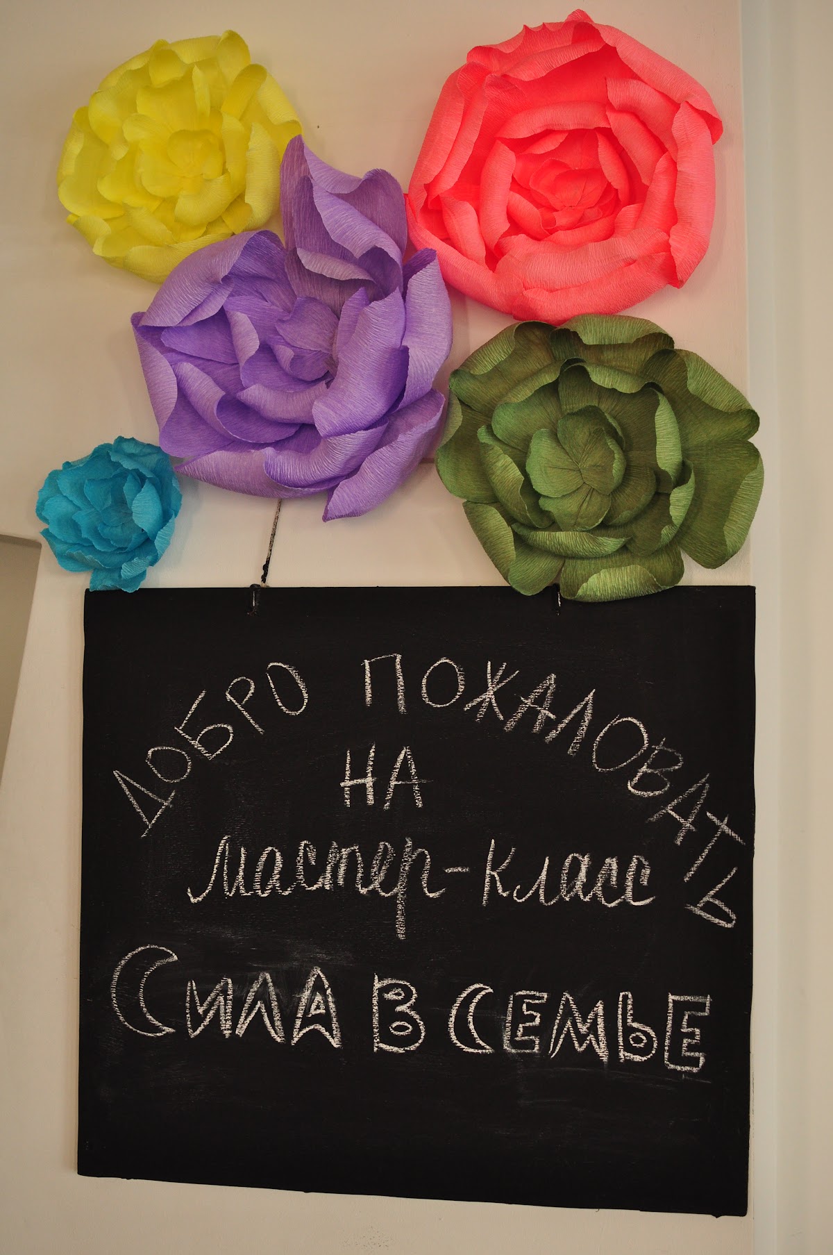 Фотографии