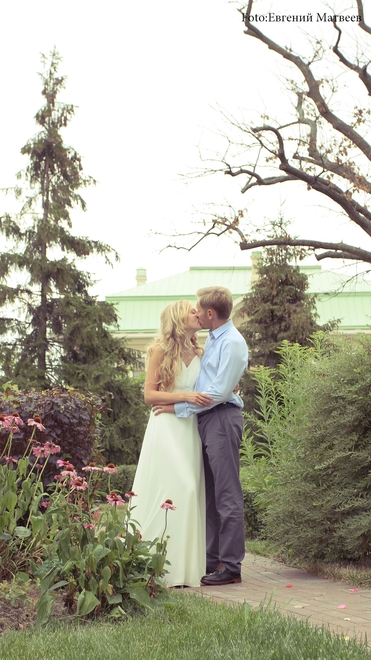 Свадебные отчеты