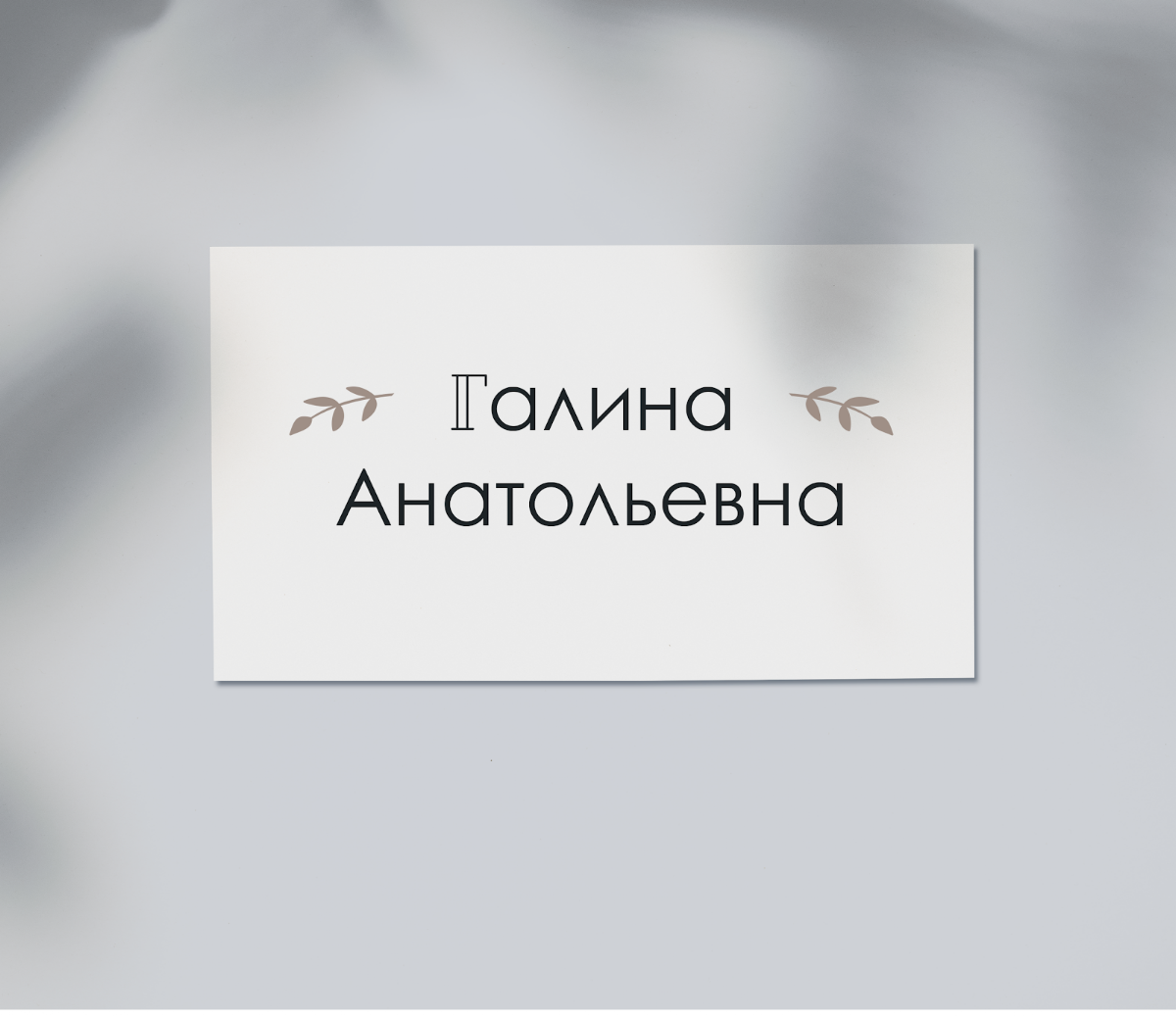 Портфолио