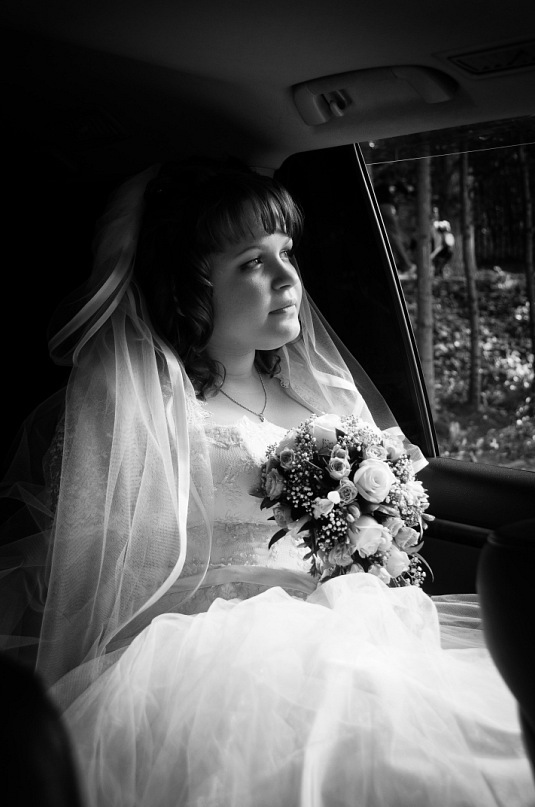 Medwedding(Медведевы)