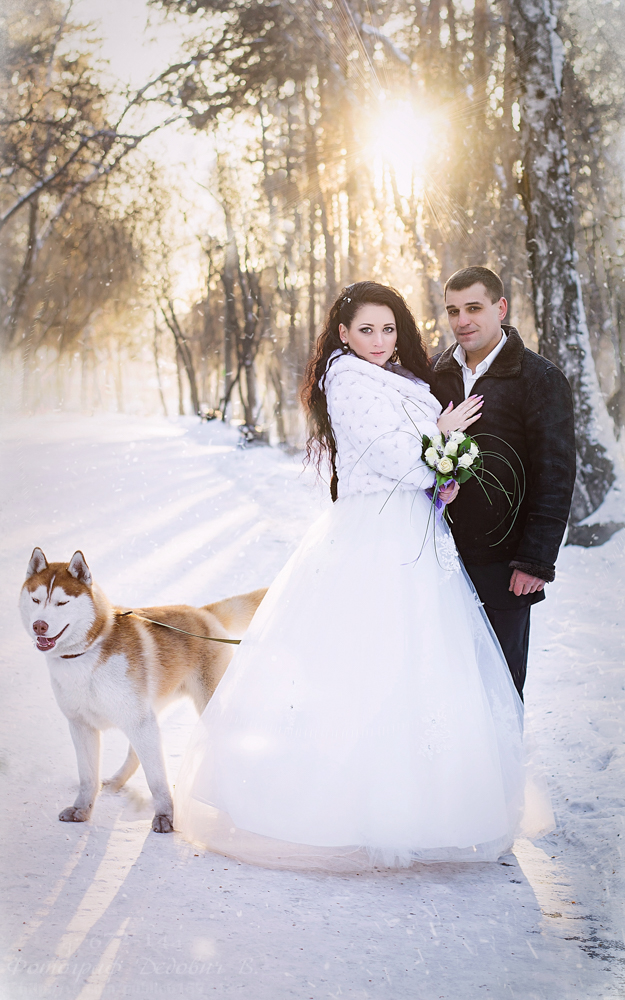 2015 год