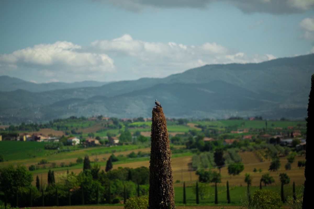 Свадебный отчёт