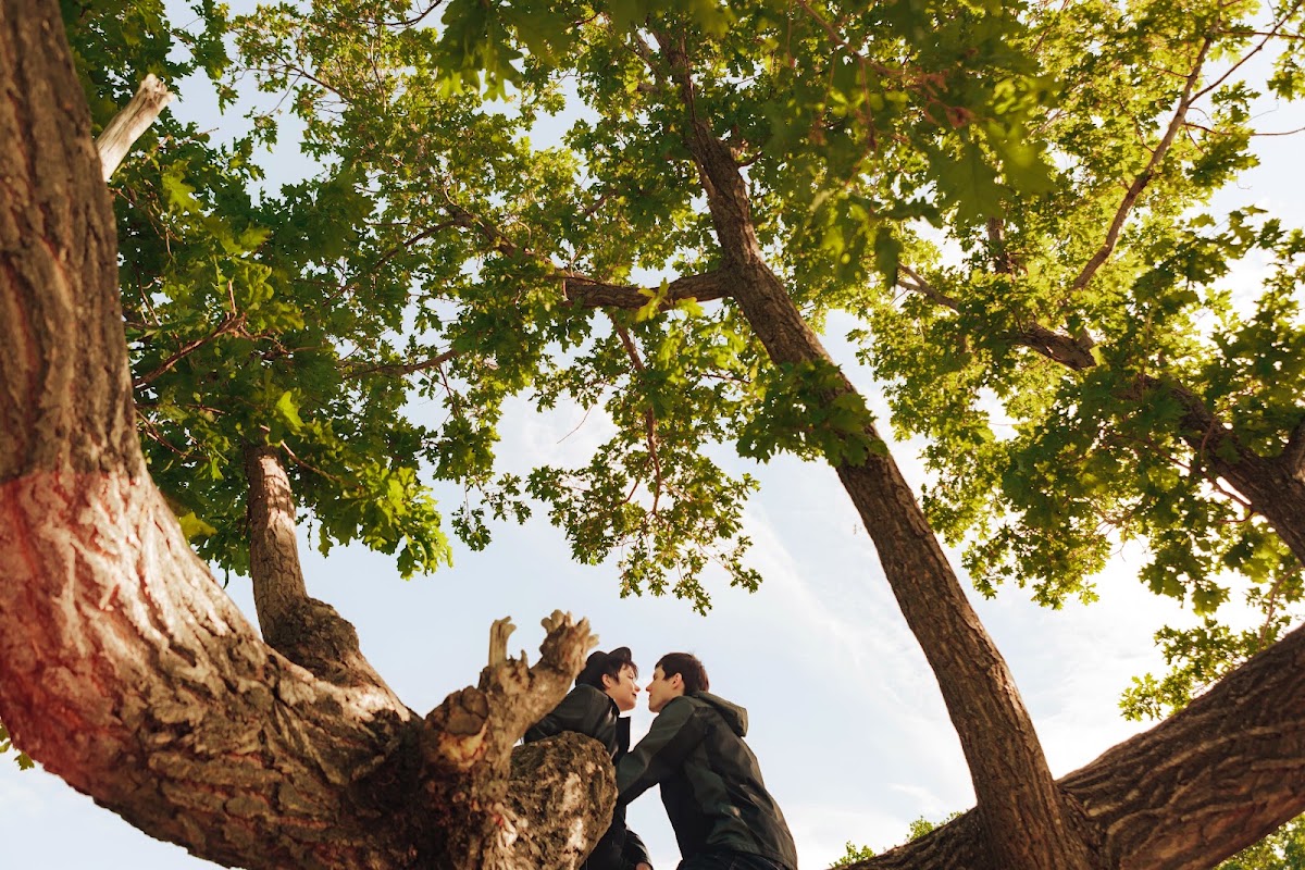 Портфолио: Love story