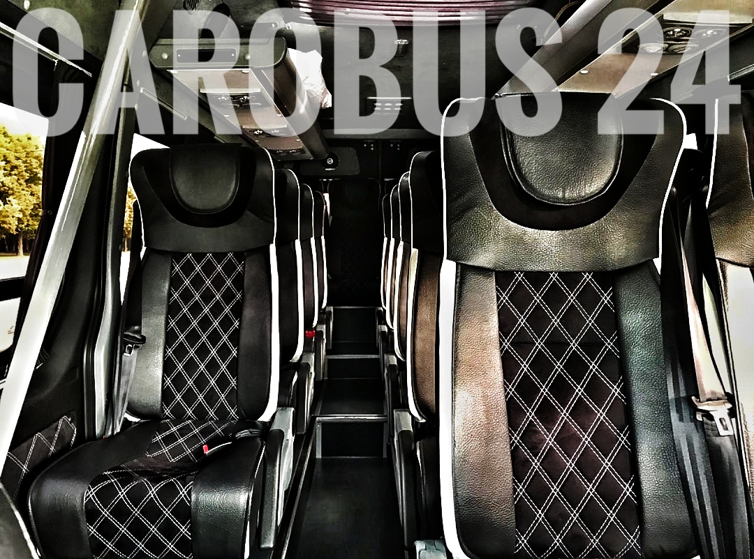 Mercedes Sprinter VIP