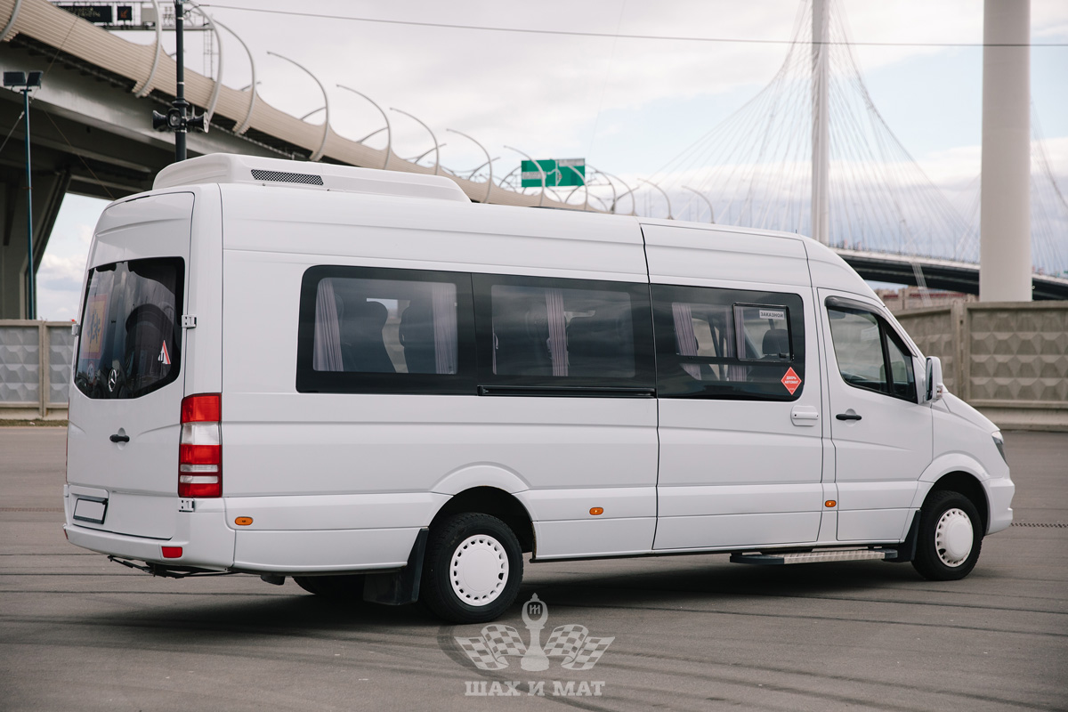 Mercedes Sprinter  VIP (салон-кожа) — кадр 4 из 9