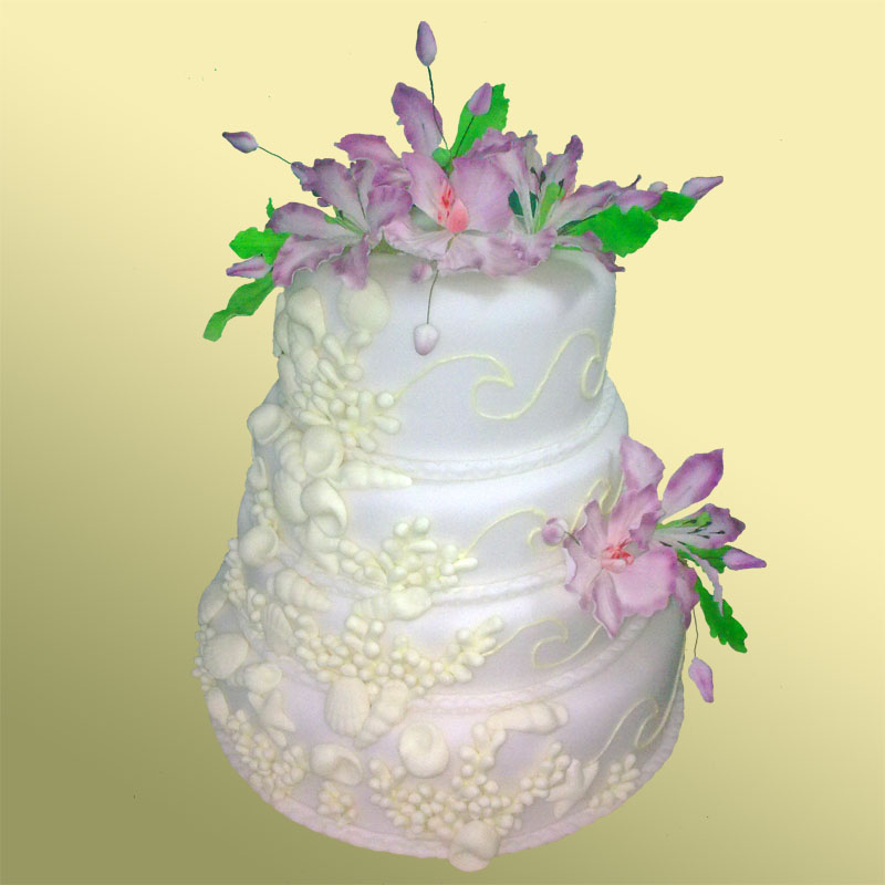 Кадр 11 из 20