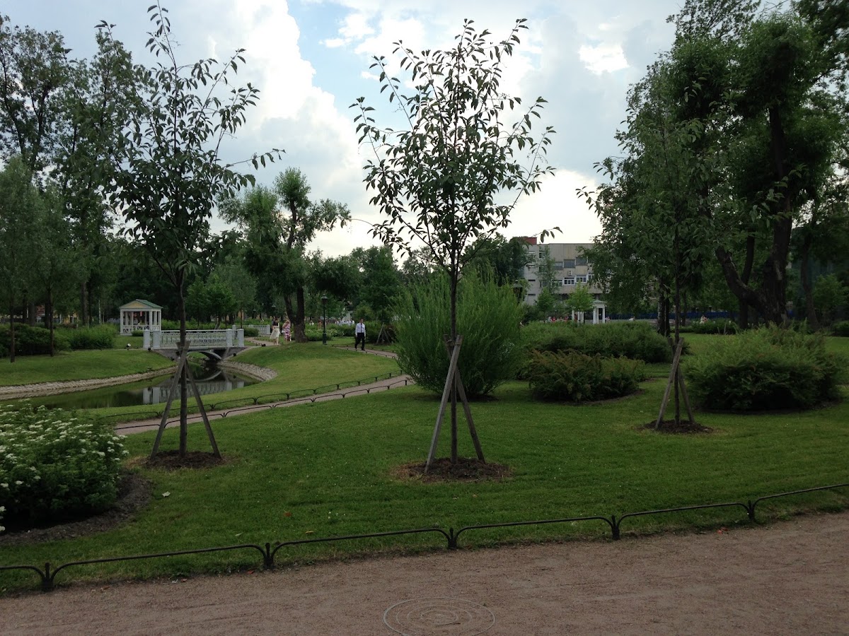 Свадьба оранжерея Державина