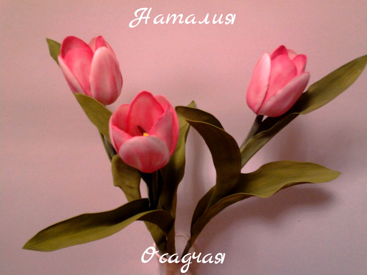 Кадр 64 из 103