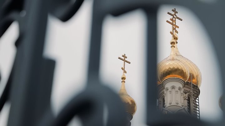 Фотографии