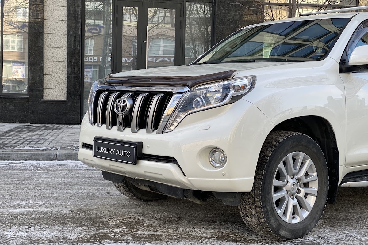 Land Cruiser Prado — кадр 4 из 10