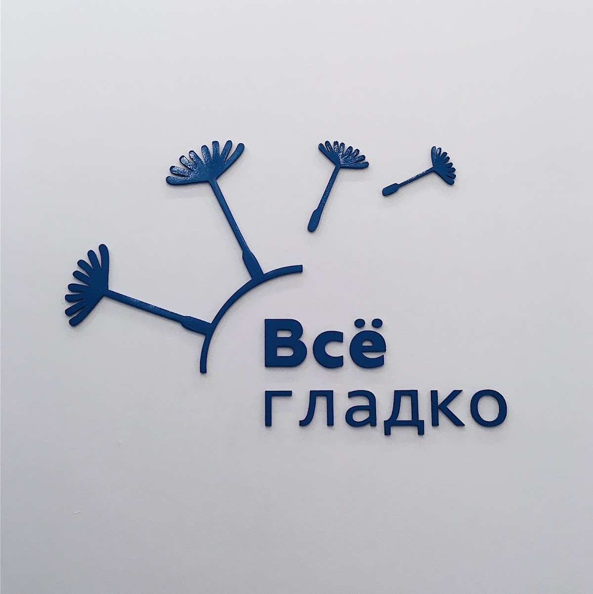 Фотографии