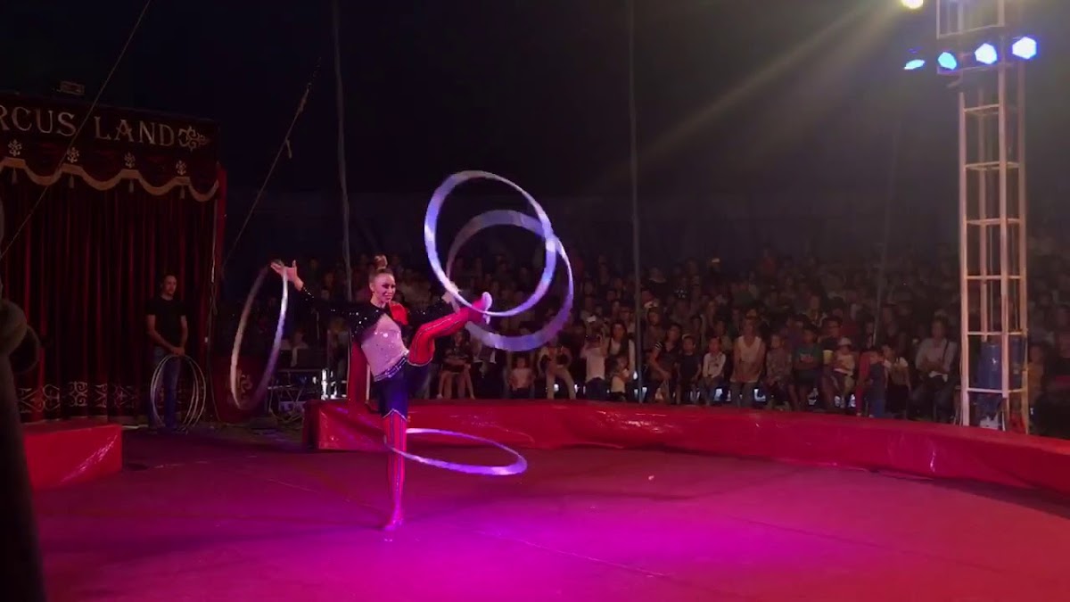 Шоу- дуэт «Circus»