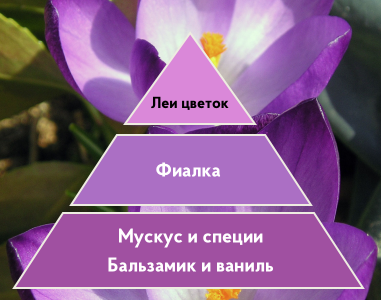 Портфолио